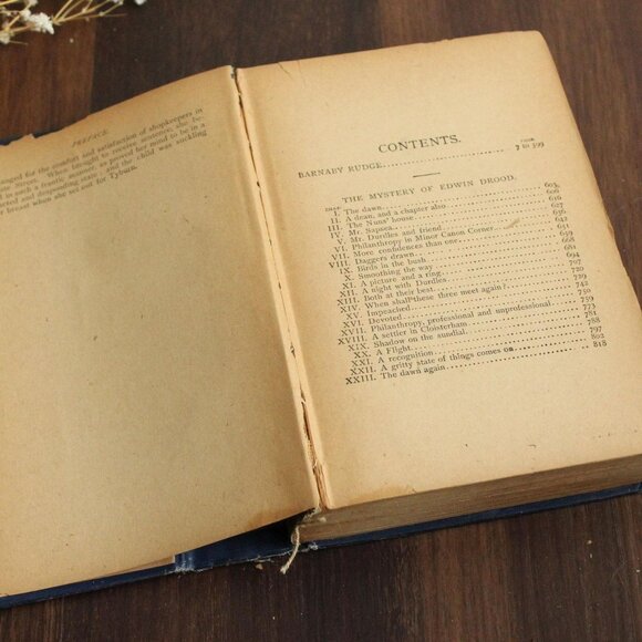 Vintage Book, "Barnaby Rudge", Charles Dickens, Oxford Edition - Picture 7 of 10